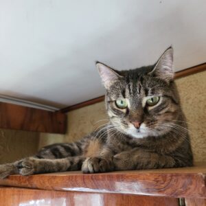 Fiona