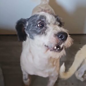 Billy