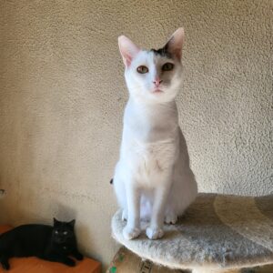 Lupita