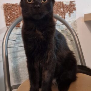 Sabrina